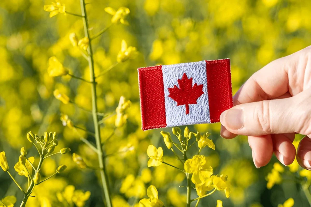 Best immigration consultants in Delhi Canada Agri-Food Pilot