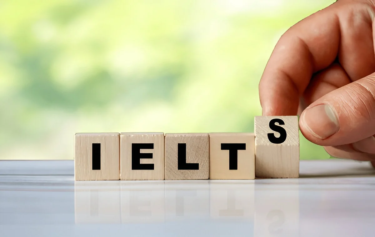 Best immigration consultants in Delhi Best immigration consultants in Delhi